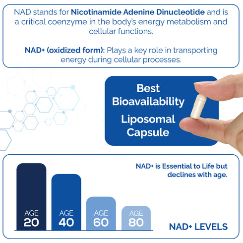 HARMONIFY NAD Supplement (500mg of 95% Pure NAD+ Per Serving, 30-Day Supply) – Vegan, Non-GMO, NAD Booster for Longevity, Anti-Aging, Cellular Health, and Energy
